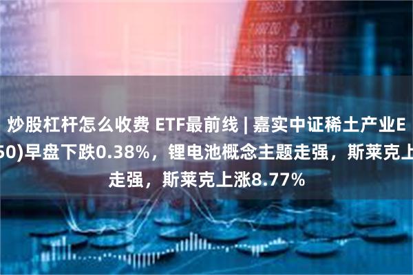 炒股杠杆怎么收费 ETF最前线 | 嘉实中证稀土产业ETF(516150)早盘下跌0.38%，锂电池概念主题走强，斯莱克上涨8.77%