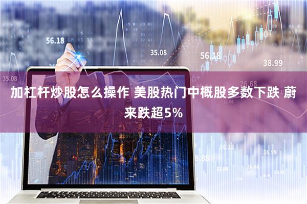 加杠杆炒股怎么操作 美股热门中概股多数下跌 蔚来跌超5%