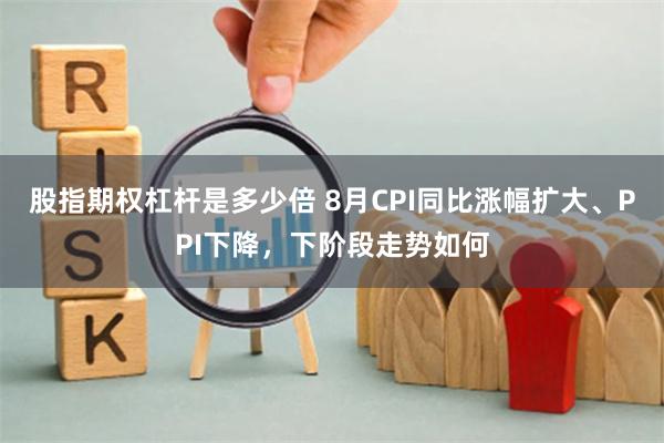 股指期权杠杆是多少倍 8月CPI同比涨幅扩大、PPI下降，下阶段走势如何