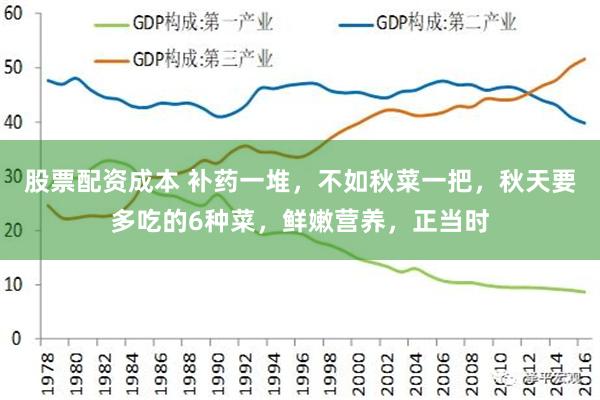 股票配资成本 补药一堆，不如秋菜一把，秋天要多吃的6种菜，鲜嫩营养，正当时