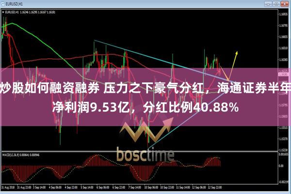 炒股如何融资融券 压力之下豪气分红，海通证券半年净利润9.53亿，分红比例40.88%