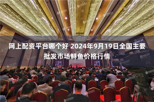 网上配资平台哪个好 2024年9月19日全国主要批发市场鲟鱼价格行情