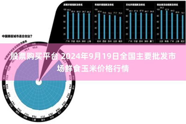 股票购买平台 2024年9月19日全国主要批发市场鲜食玉米价格行情