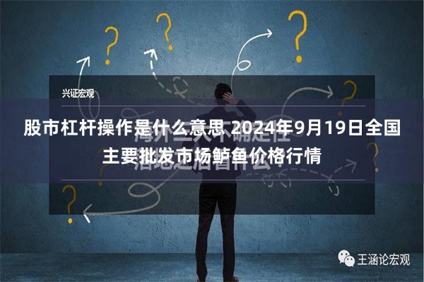 股市杠杆操作是什么意思 2024年9月19日全国主要批发市场鲈鱼价格行情