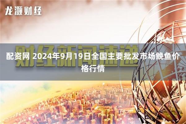 配资网 2024年9月19日全国主要批发市场鮸鱼价格行情