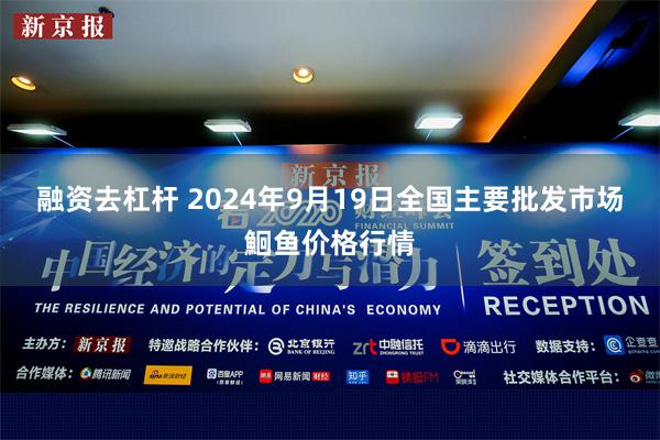 融资去杠杆 2024年9月19日全国主要批发市场鮰鱼价格行情