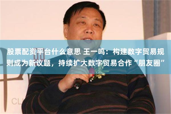 股票配资平台什么意思 王一鸣：构建数字贸易规则成为新议题，持续扩大数字贸易合作“朋友圈”