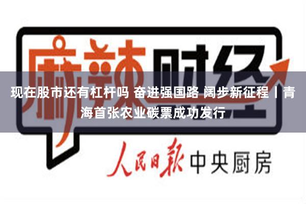 现在股市还有杠杆吗 奋进强国路 阔步新征程丨青海首张农业碳票成功发行