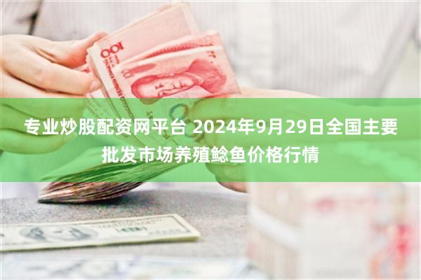 专业炒股配资网平台 2024年9月29日全国主要批发市场养殖鲶鱼价格行情