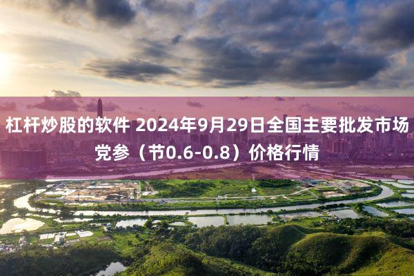 杠杆炒股的软件 2024年9月29日全国主要批发市场党参（节0.6-0.8）价格行情