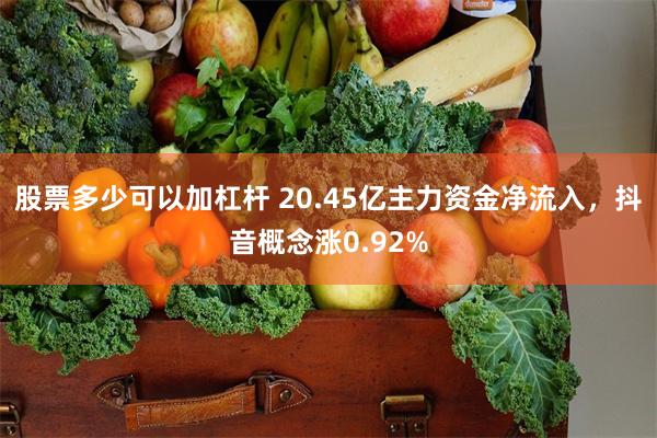 股票多少可以加杠杆 20.45亿主力资金净流入，抖音概念涨0.92%