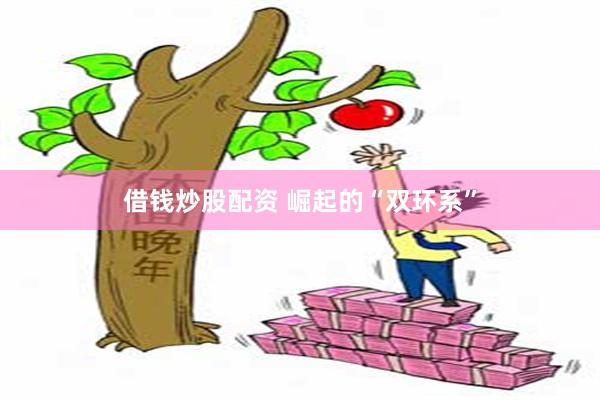 借钱炒股配资 崛起的“双环系”