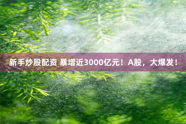 新手炒股配资 暴增近3000亿元！A股，大爆发！