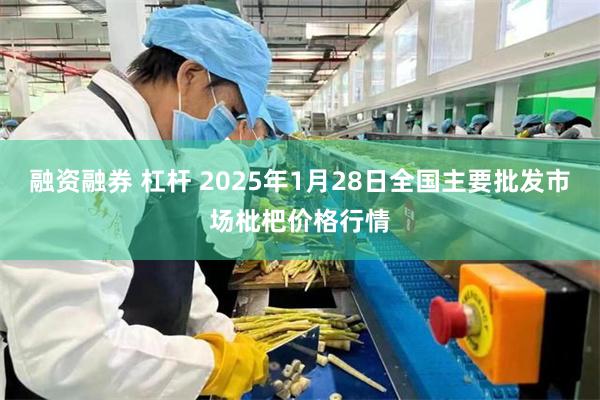 融资融券 杠杆 2025年1月28日全国主要批发市场枇杷价格行情